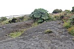 2045.jpg 2045.jpg