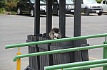 2136.jpg 2136.jpg