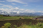 2163.jpg 2163.jpg