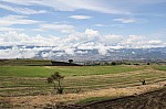 2171.jpg 2171.jpg
