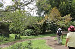 2252.jpg 2252.jpg