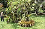 2253.jpg 2253.jpg