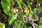 2254.jpg 2254.jpg