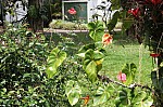 2257.jpg 2257.jpg