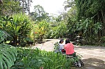 2264.jpg 2264.jpg
