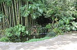 2265.jpg 2265.jpg