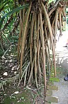 2270.jpg 2270.jpg