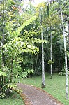 2306.jpg 2306.jpg