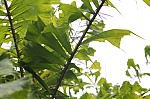 2310.jpg 2310.jpg