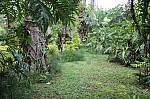 2326.jpg 2326.jpg