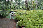 2331.jpg 2331.jpg