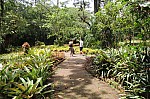 2339.jpg 2339.jpg