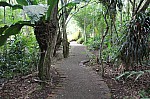 2375.jpg 2375.jpg