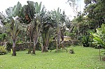 2408.jpg 2408.jpg