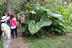 2415.jpg 2415.jpg