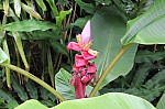 2425.jpg 2425.jpg