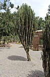 2446.jpg 2446.jpg