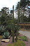 2465.jpg 2465.jpg