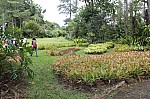 2500.jpg 2500.jpg