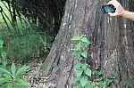 2506.jpg 2506.jpg