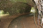 2510.jpg 2510.jpg
