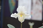 2540.jpg 2540.jpg