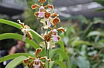 2546.jpg 2546.jpg