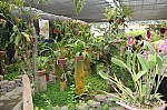 2560.jpg 2560.jpg
