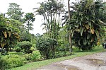 2616.jpg 2616.jpg