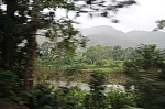 2638.jpg 2638.jpg