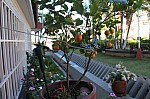 2717.jpg 2717.jpg