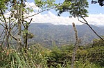 2767.jpg 2767.jpg