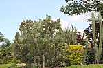 2818.jpg 2818.jpg