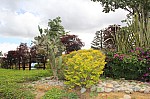 2819.jpg 2819.jpg