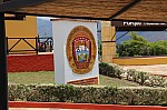 2907.jpg 2907.jpg