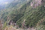 3075.jpg 3075.jpg