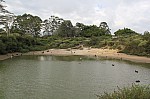 3095.jpg 3095.jpg