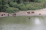 3097.jpg 3097.jpg