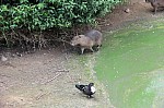 3100.jpg 3100.jpg