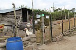 3109.jpg 3109.jpg