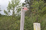 3124.jpg 3124.jpg