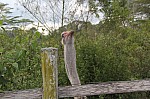 3129.jpg 3129.jpg