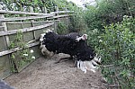 3135.jpg 3135.jpg