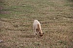 3149.jpg 3149.jpg
