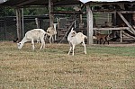 3157.jpg 3157.jpg