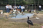 3158.jpg 3158.jpg
