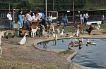 3159.jpg 3159.jpg