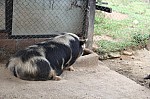 3162.jpg 3162.jpg