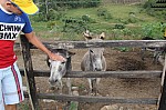 3181.jpg 3181.jpg
