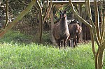 3219.jpg 3219.jpg